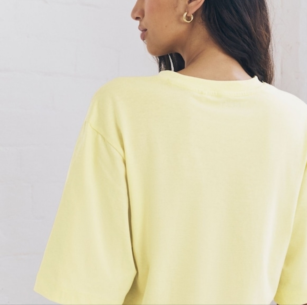 aritzia laid back t-shirt TNA
